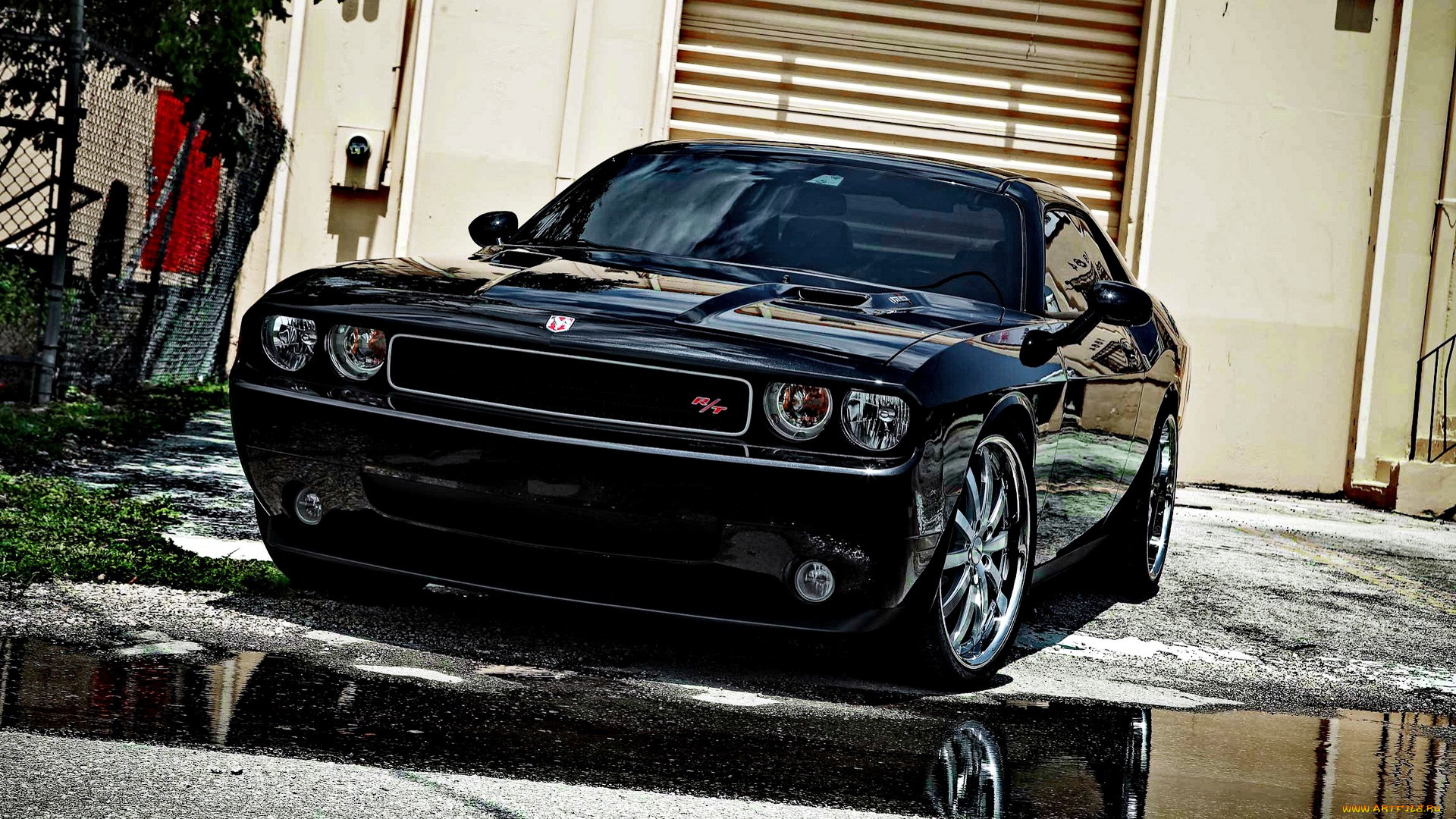dodge, challenger, , , , , , 
